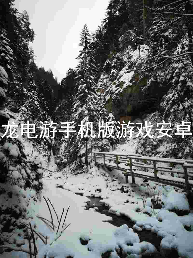 尊龍電游手機版游戲安卓版
