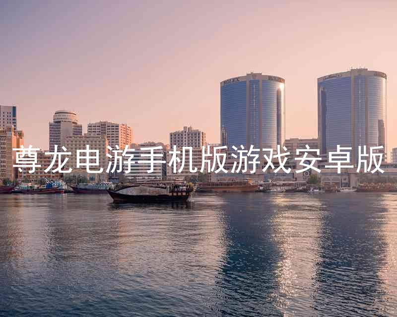 尊龍電游手機(jī)版游戲安卓版
