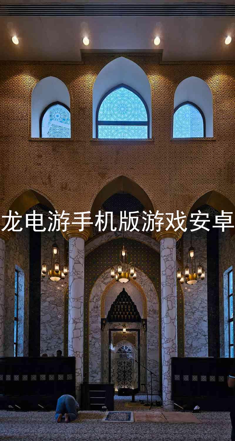 尊龍電游手機版游戲安卓版