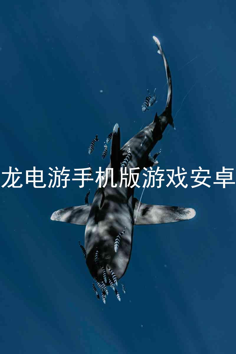 尊龍電游手機版游戲安卓版