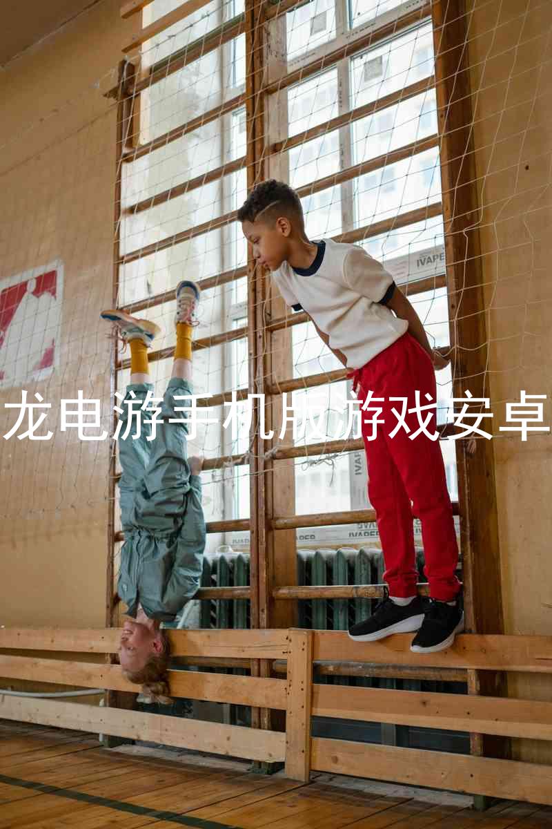 尊龍電游手機(jī)版游戲安卓版