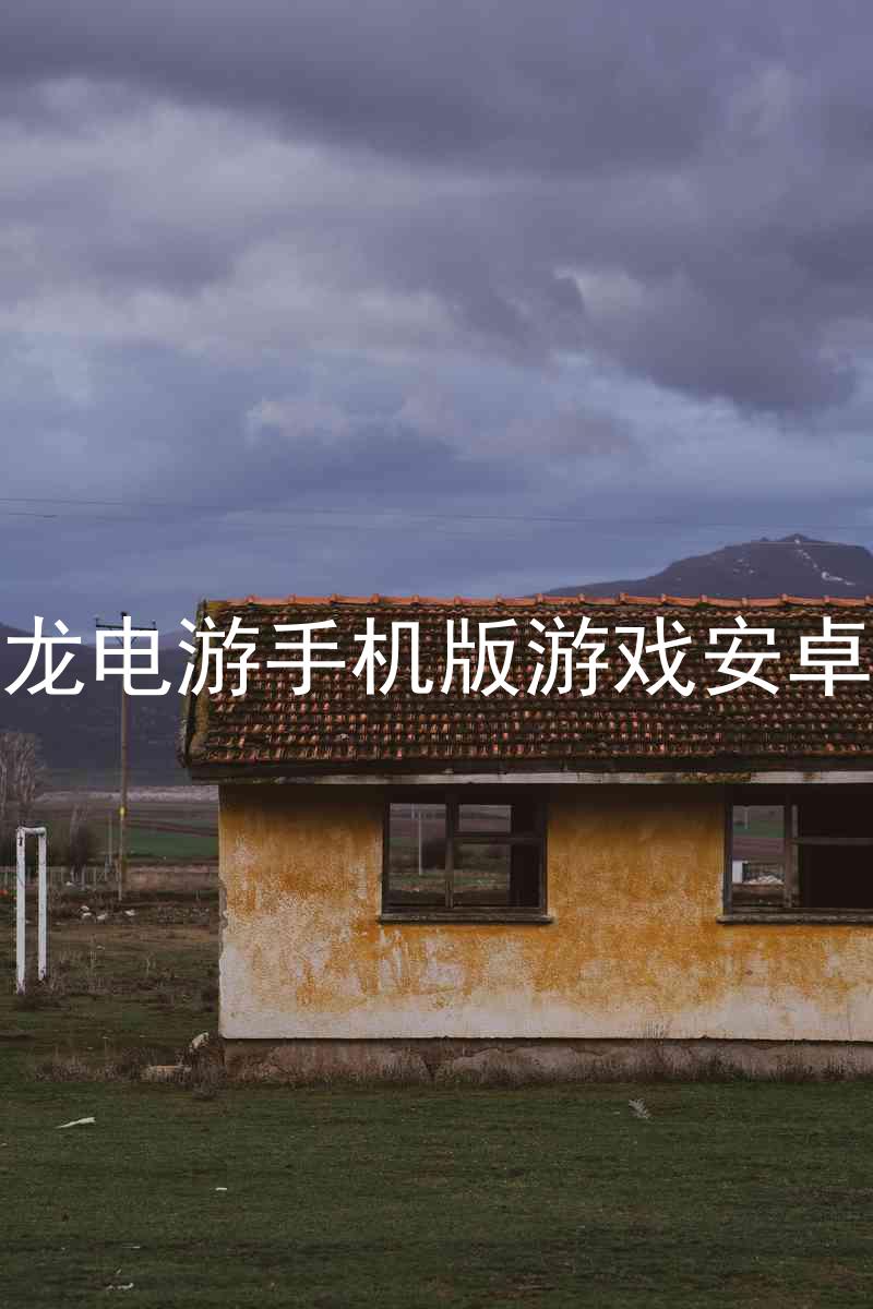 尊龍電游手機(jī)版游戲安卓版