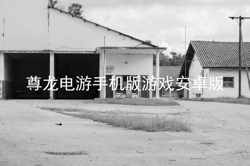 尊龍電游手機(jī)版游戲安卓版